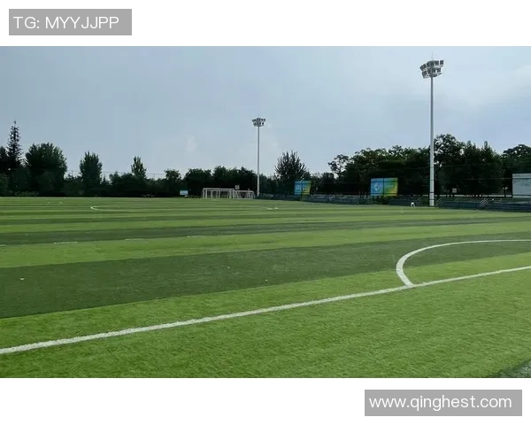 西安飞盘队荣登全国飞盘状态排行榜第九名展现强劲实力