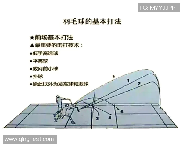北京羽毛球队整体压制战术解析与实战应用研究